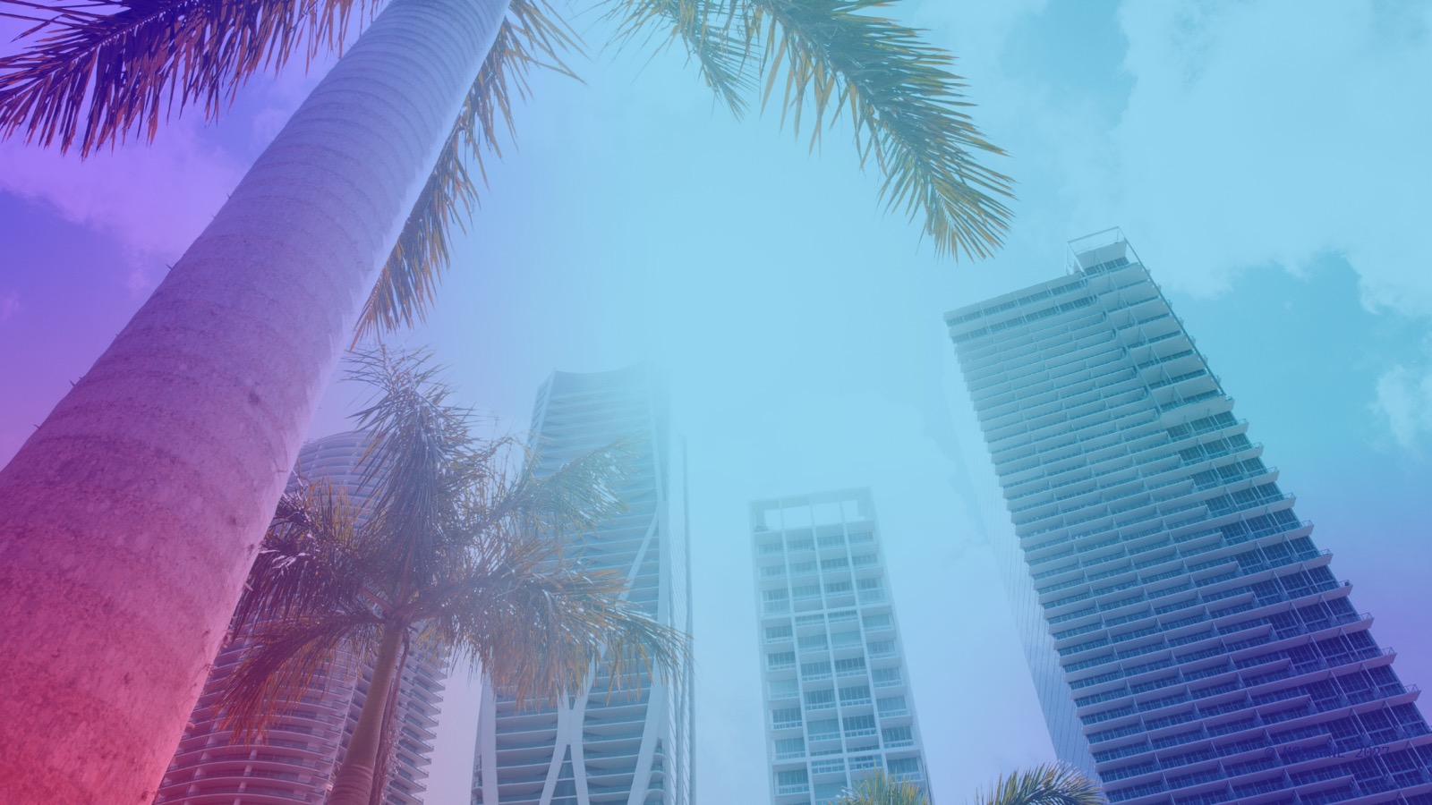 Miami towers and palms with a spectral-gradient wash